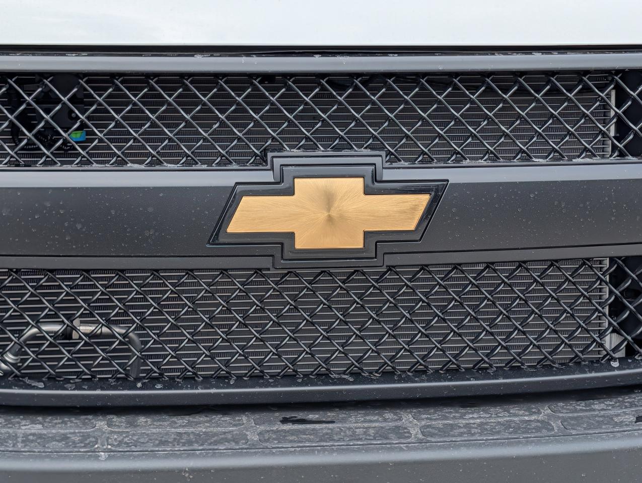 2026 Chevrolet Express Cargo Van  Photo