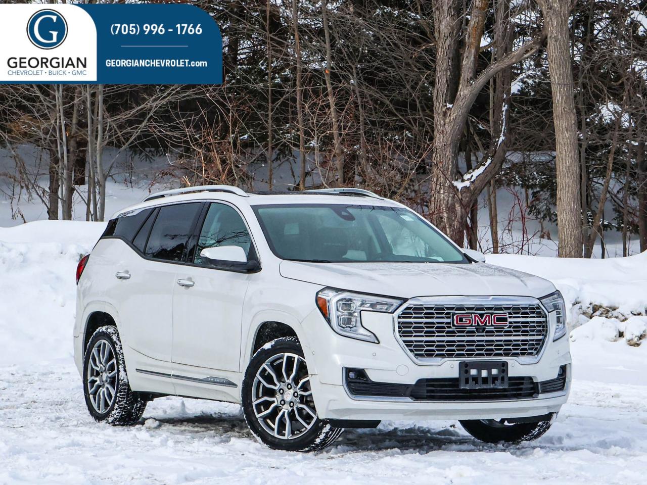 2024 GMC Terrain Denali Photo