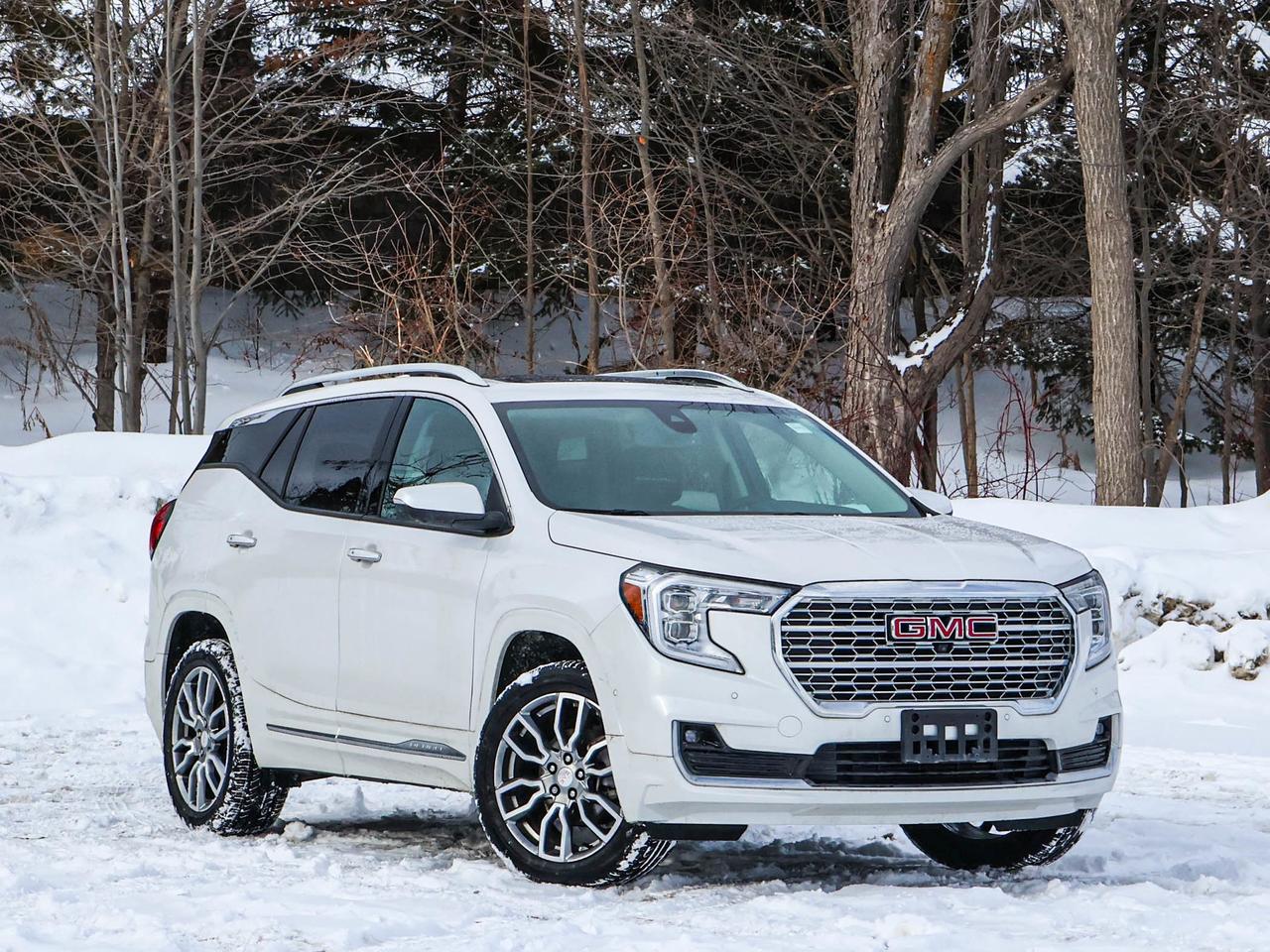 2024 GMC Terrain Denali Photo