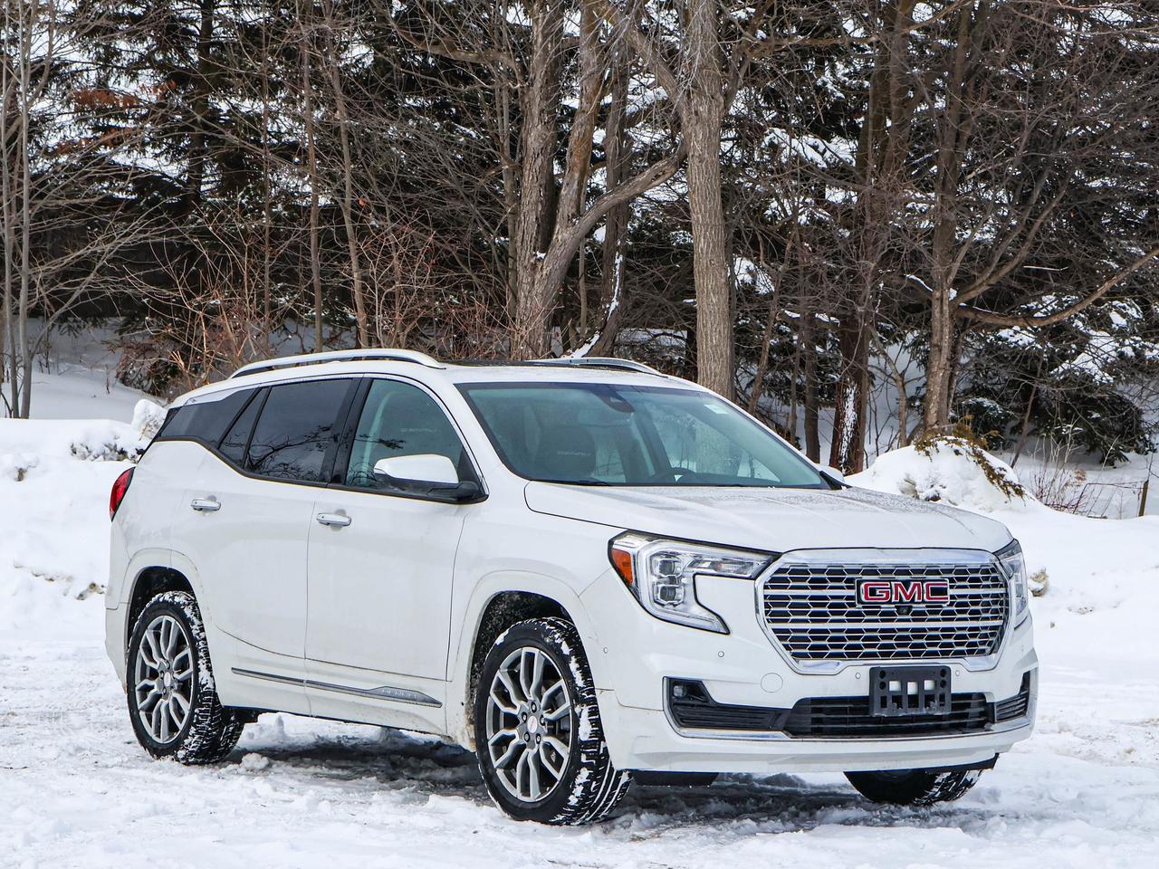 2024 GMC Terrain Denali Photo2