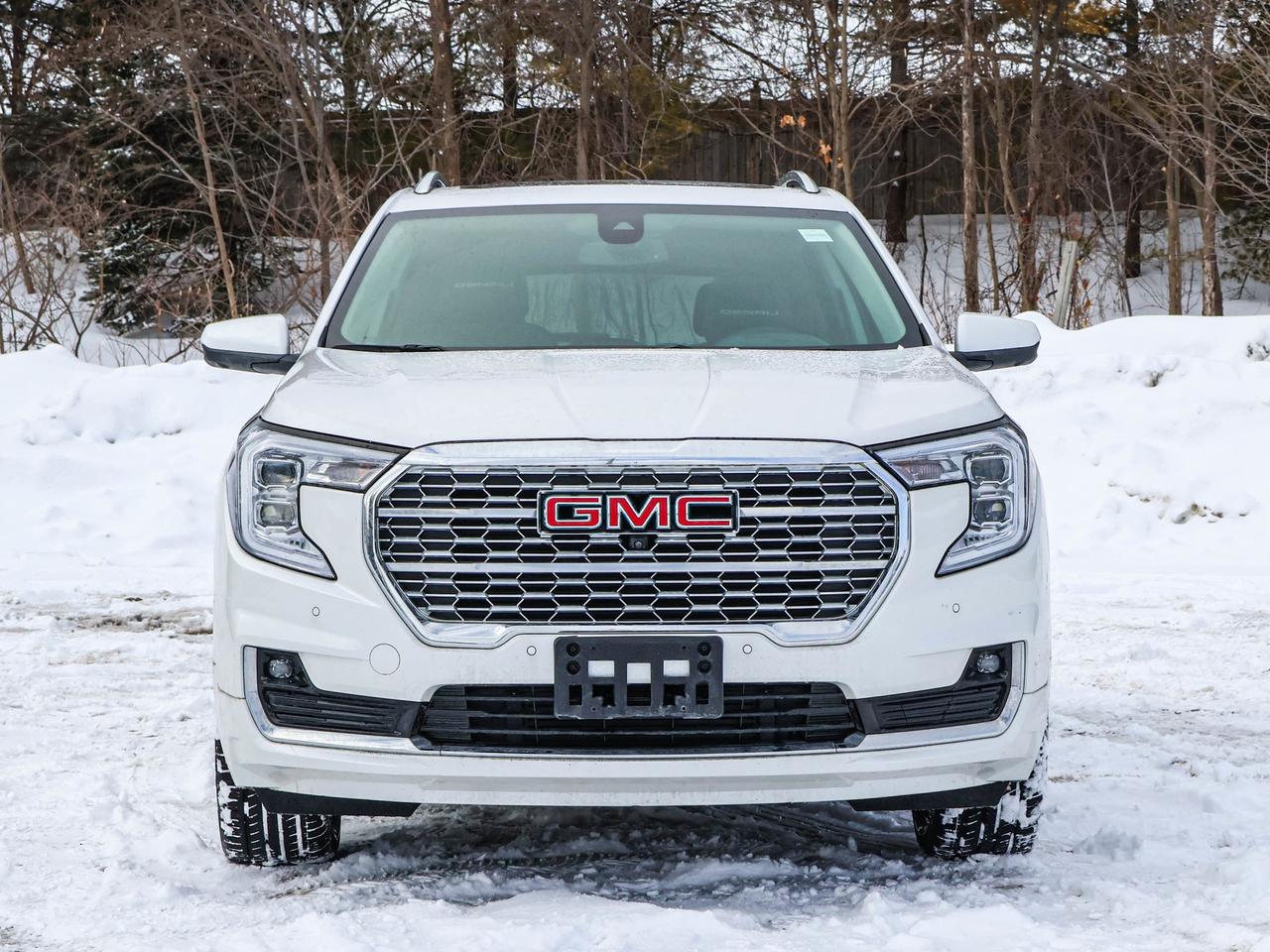 2024 GMC Terrain Denali Photo4