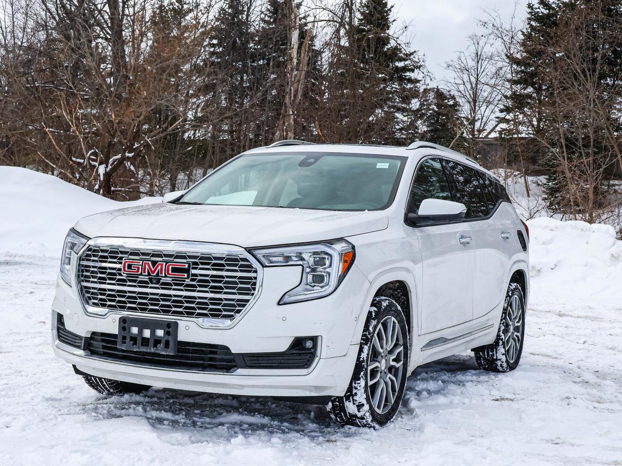 2024 GMC Terrain Denali Photo