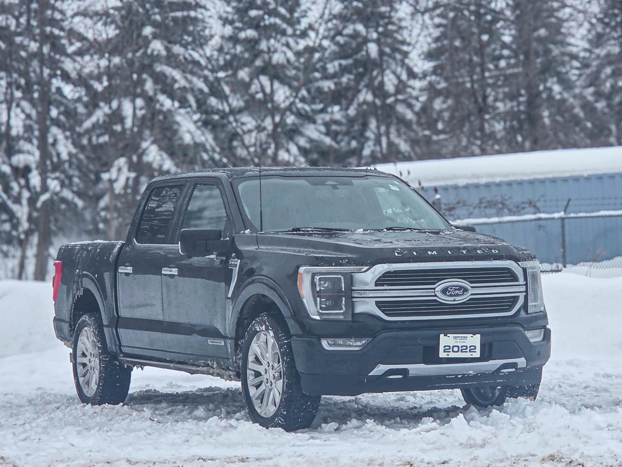 2022 Ford F-150 Limited  Photo
