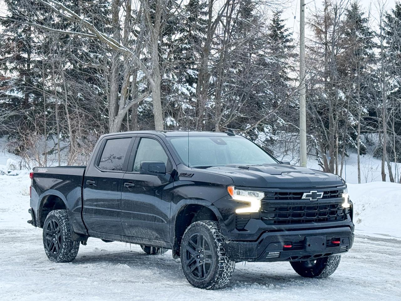 2025 Chevrolet Silverado 1500 LT Trail Boss Photo2
