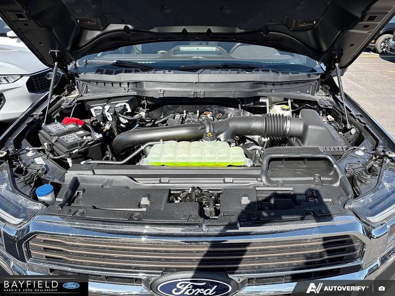 2026 Ford F-150 King Ranch Photo