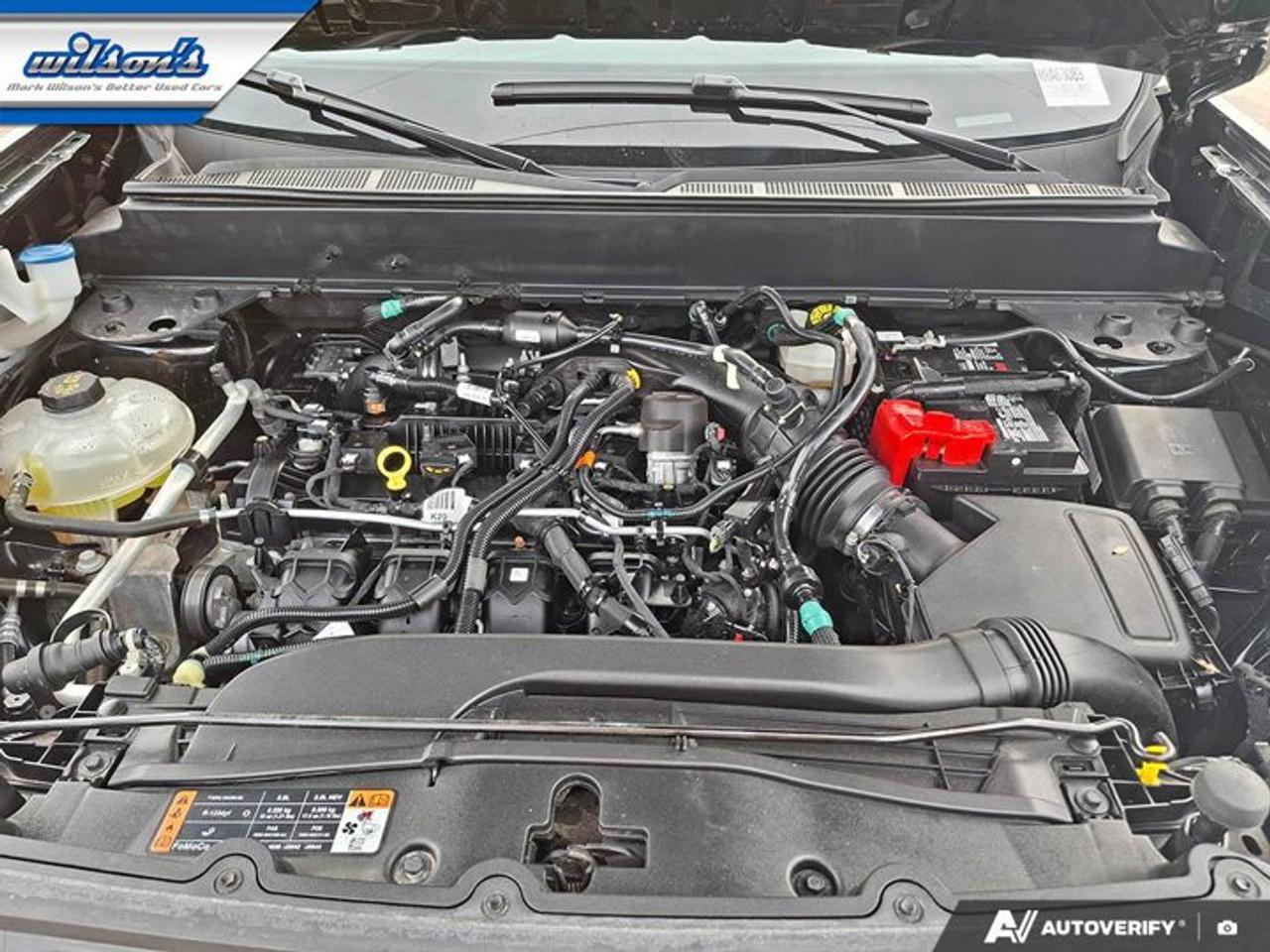 2024 Ford Maverick XLT AWD | Luxury Pkg | Co-Pilot 360 | Hard Tri-Fold Cover | Heated Seats & Steering | | Photo