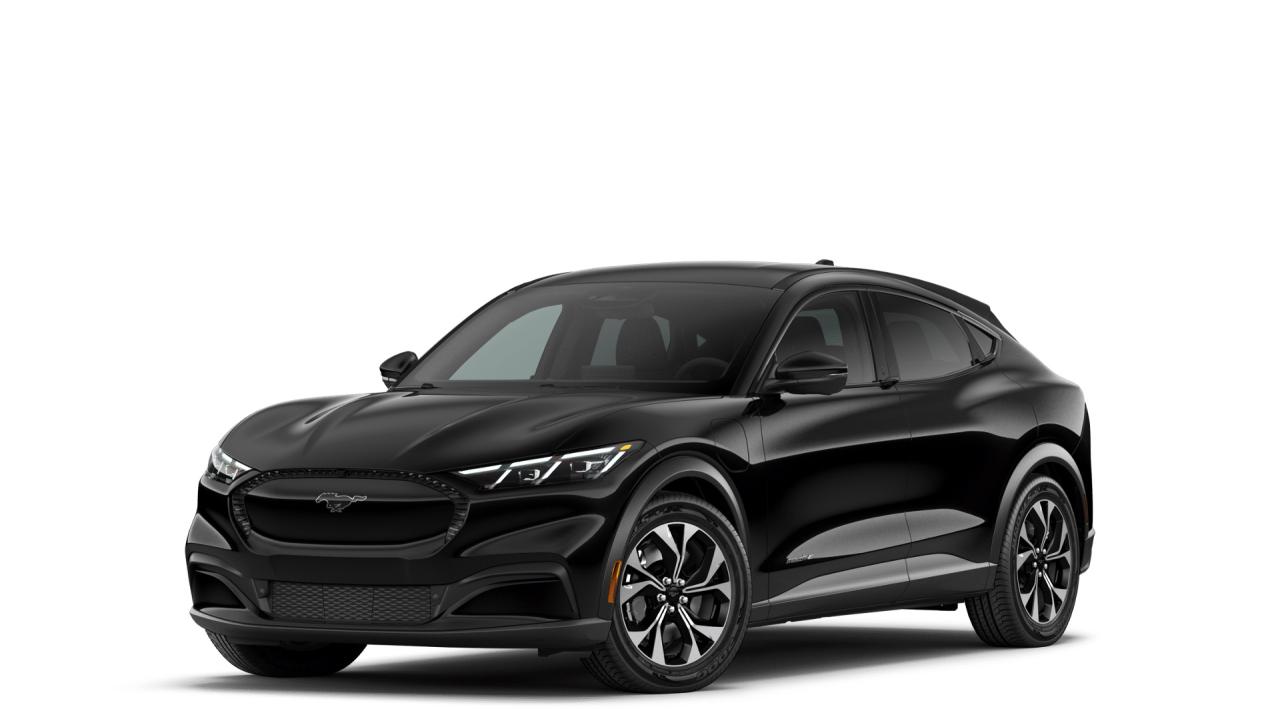 2026 Ford Mustang Mach-E SELECT RWD Standard Range Battery Photo0