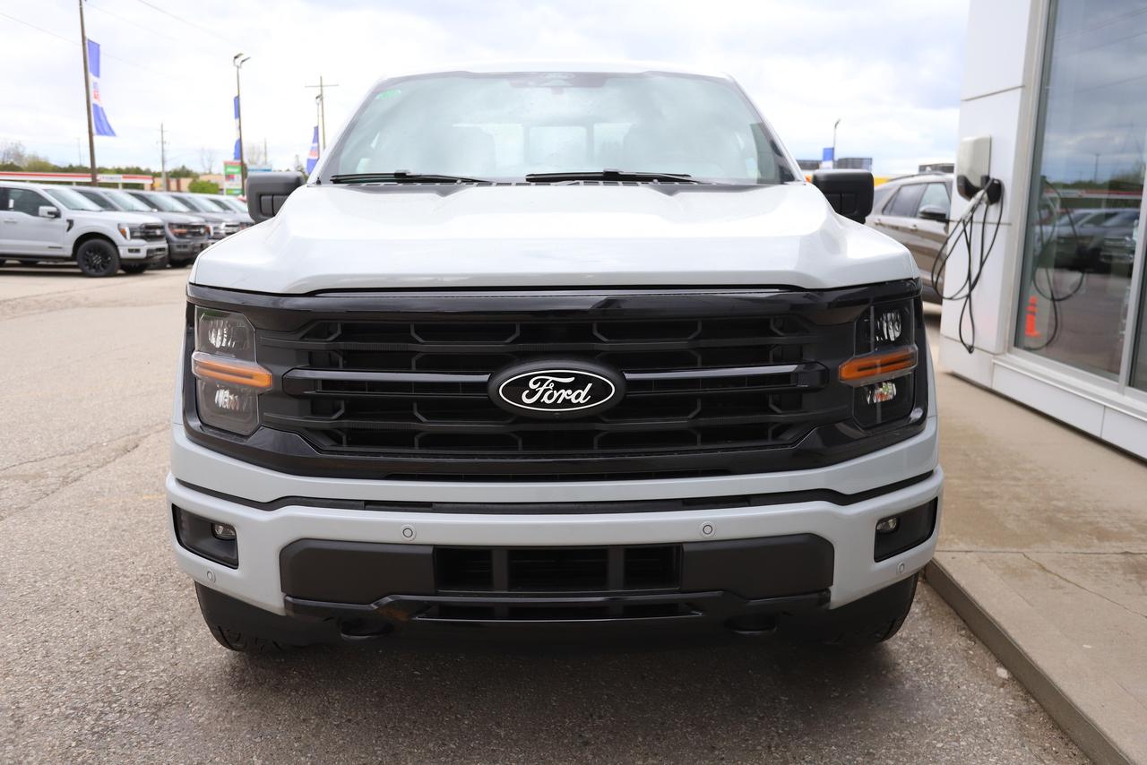 2026 Ford F-150 XLT 4WD SuperCrew 5.5' Box Photo