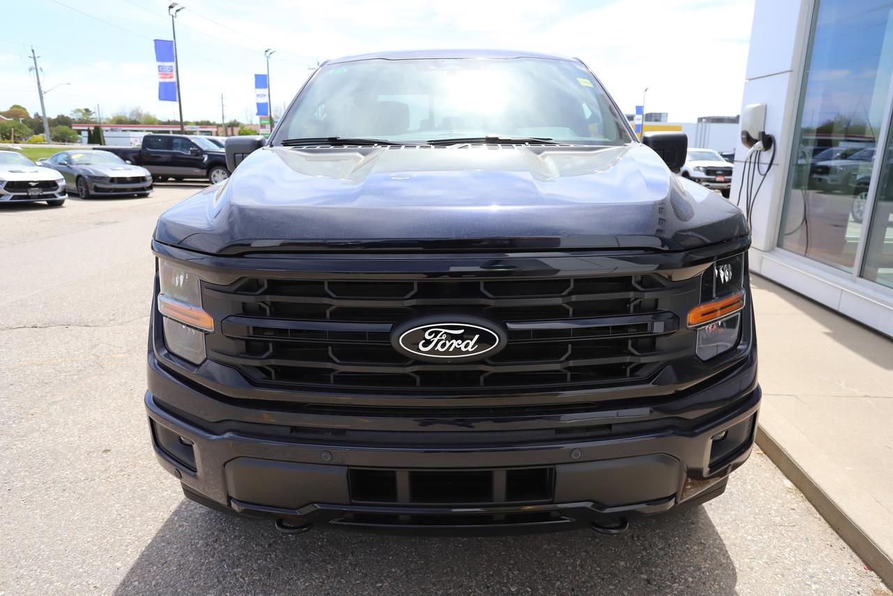 2026 Ford F-150 XLT 4WD SuperCrew 6.5' Box Photo