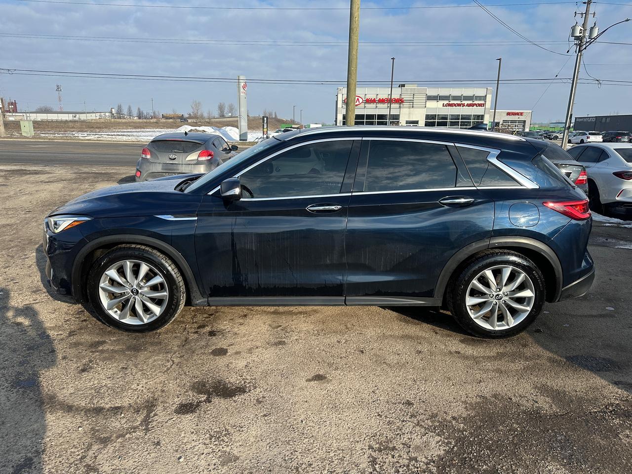 2019 Infiniti QX50 LUXE Photo