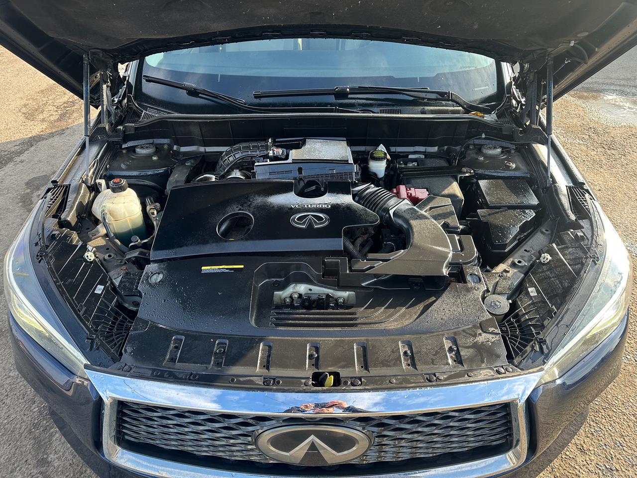 2019 Infiniti QX50 LUXE Photo
