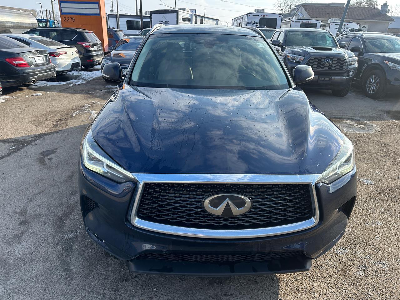 2019 Infiniti QX50 LUXE Photo