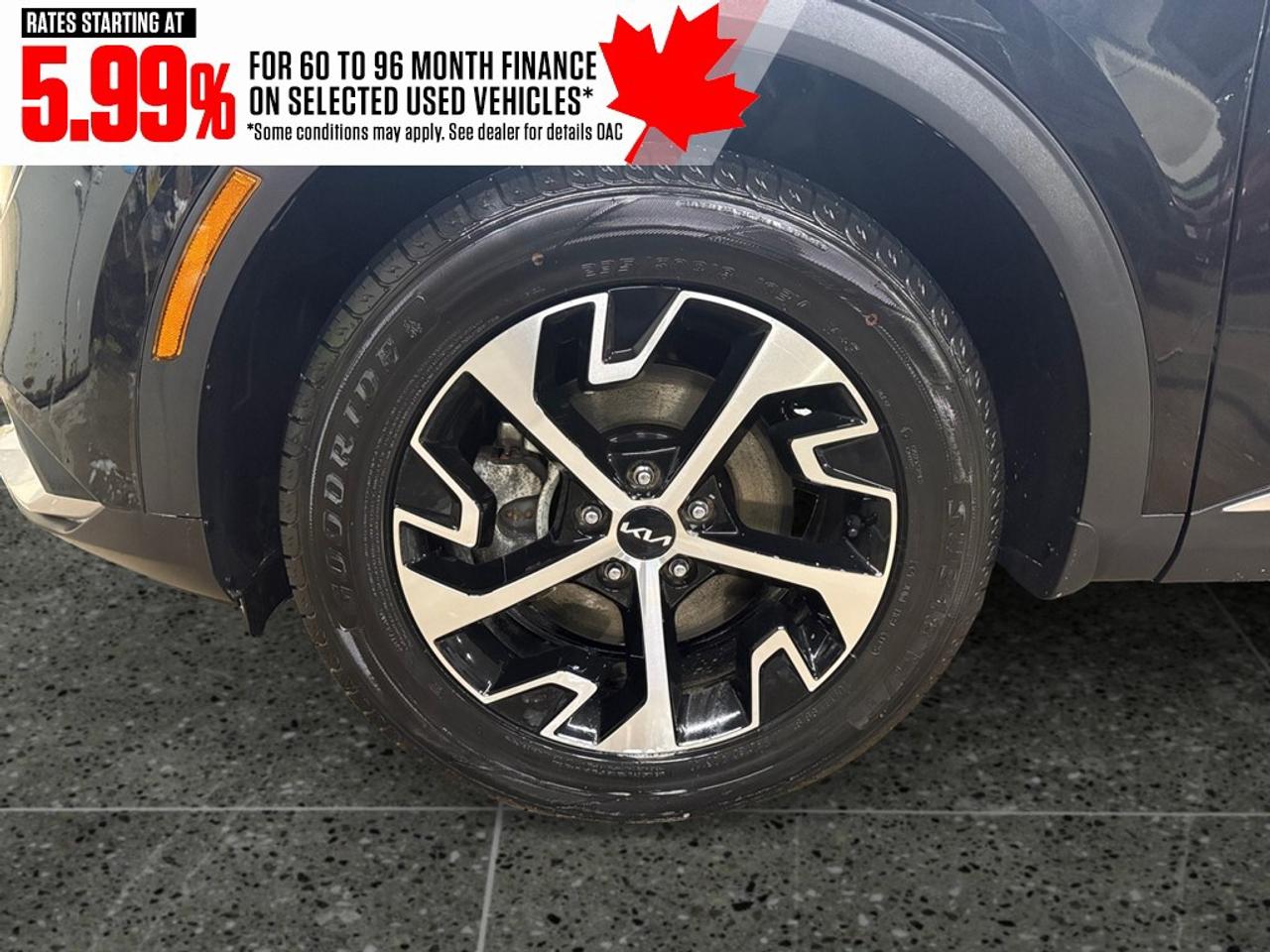 2023 Kia Sportage EX AWD Photo