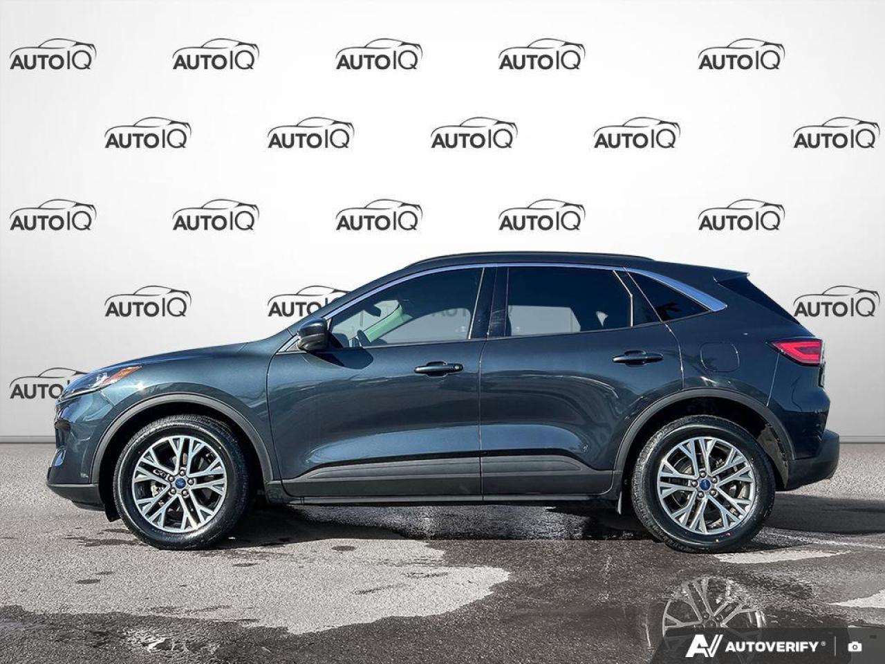 2022 Ford Escape SEL Hybrid HYBRID LEATHER ONE OWNER CERTIFIED Photo