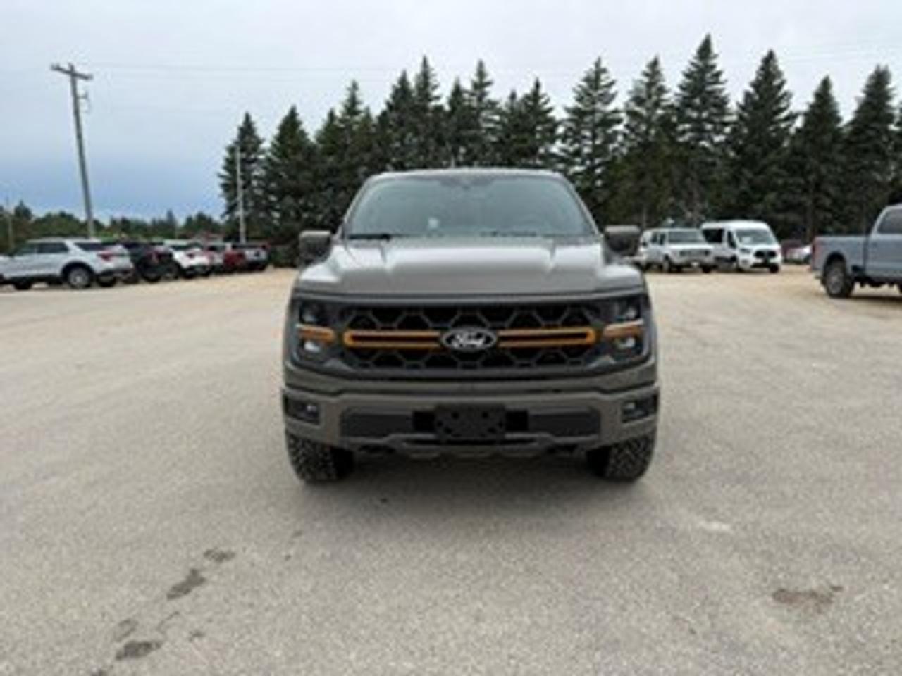 2026 Ford F-150 Tremor 4WD SuperCrew 5.5' Box Photo2