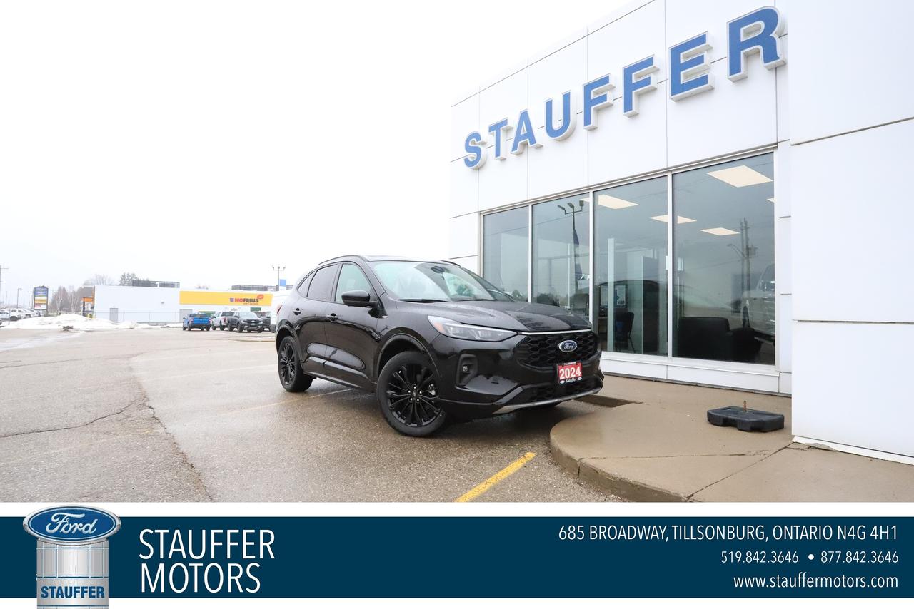 2024 Ford Escape ST-Line Elite AWD Photo