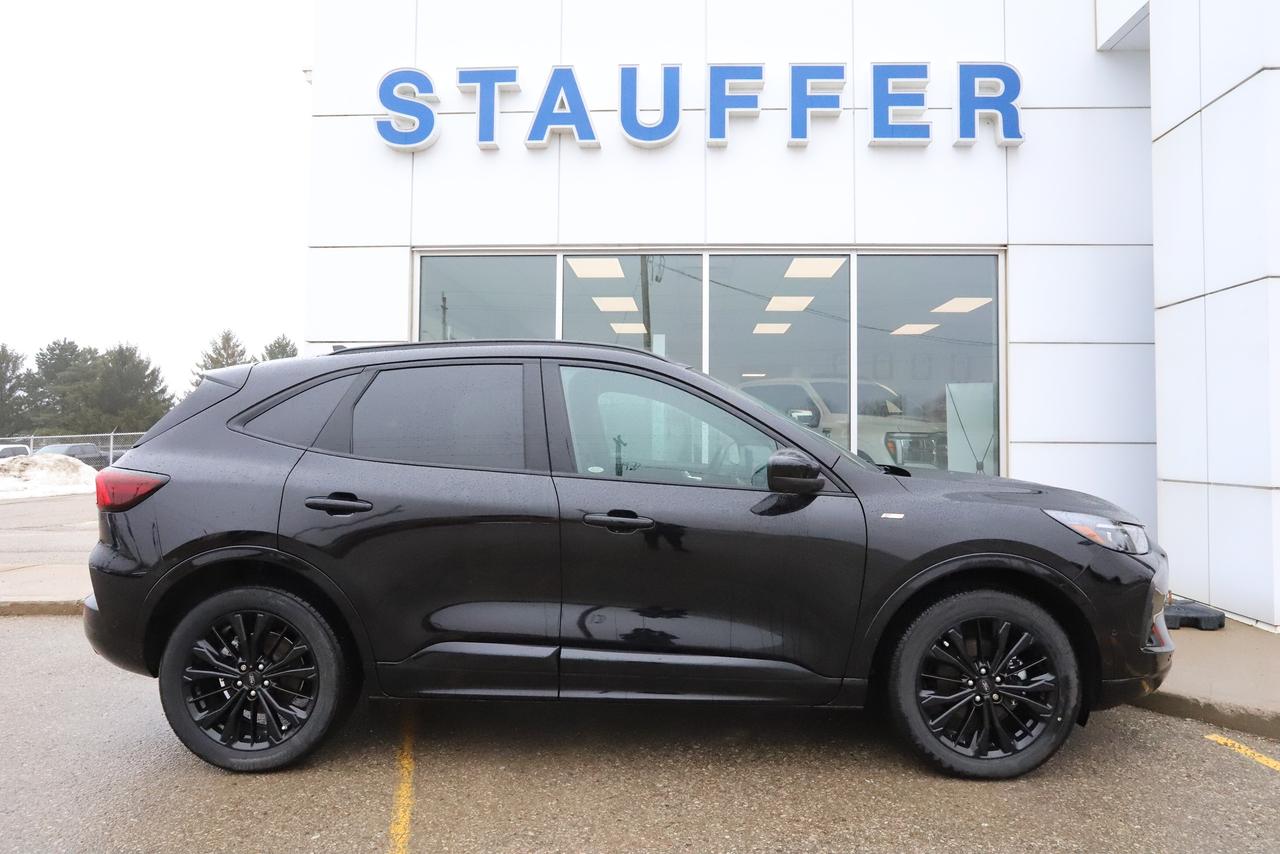 2024 Ford Escape ST-Line Elite AWD Photo2