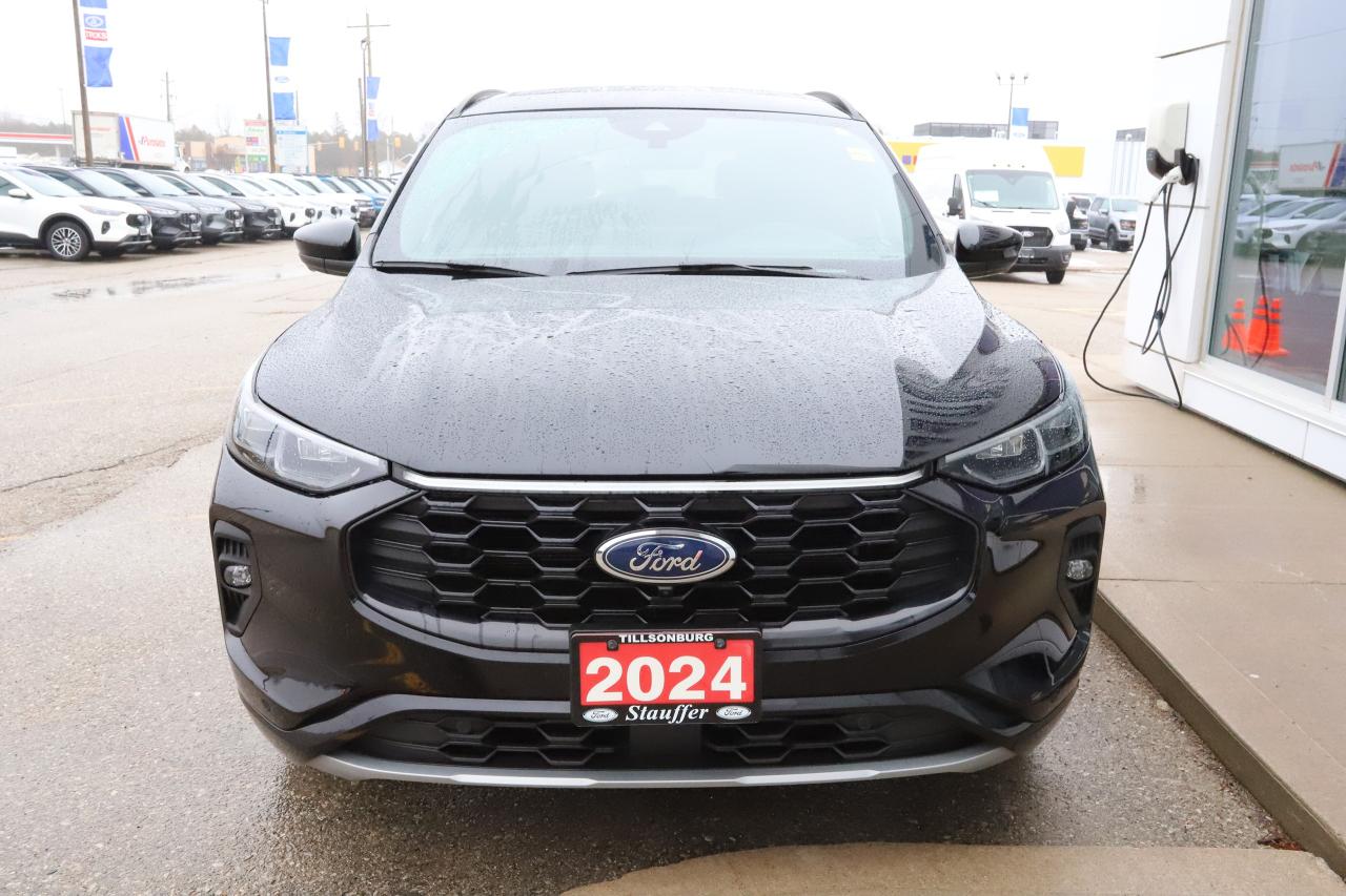 2024 Ford Escape ST-Line Elite AWD Photo