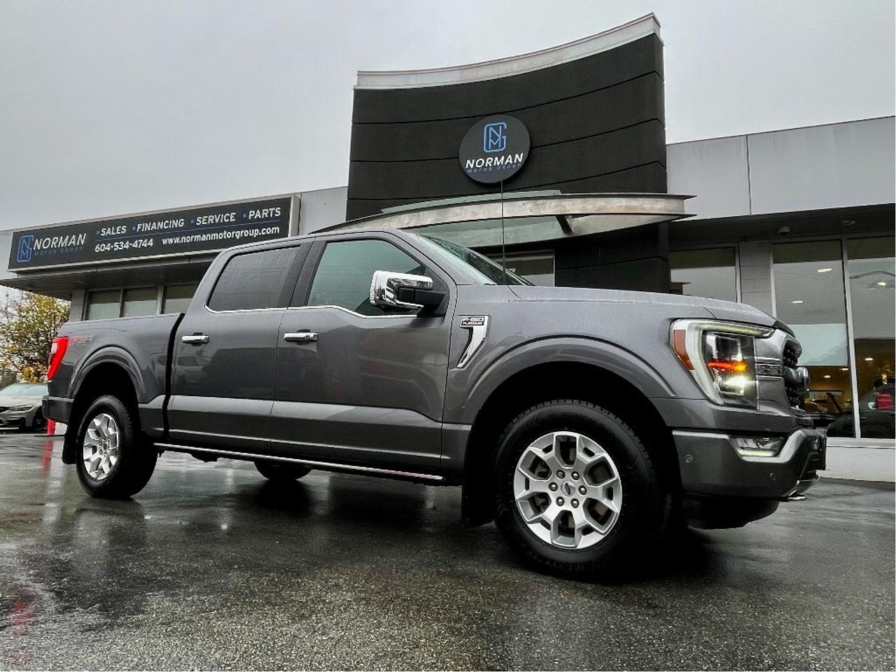 2021 Ford F-150 Platinum FX4 4WD 5.0L V8 SUNROOF MESSAGE SEATS NAV - Photo #1