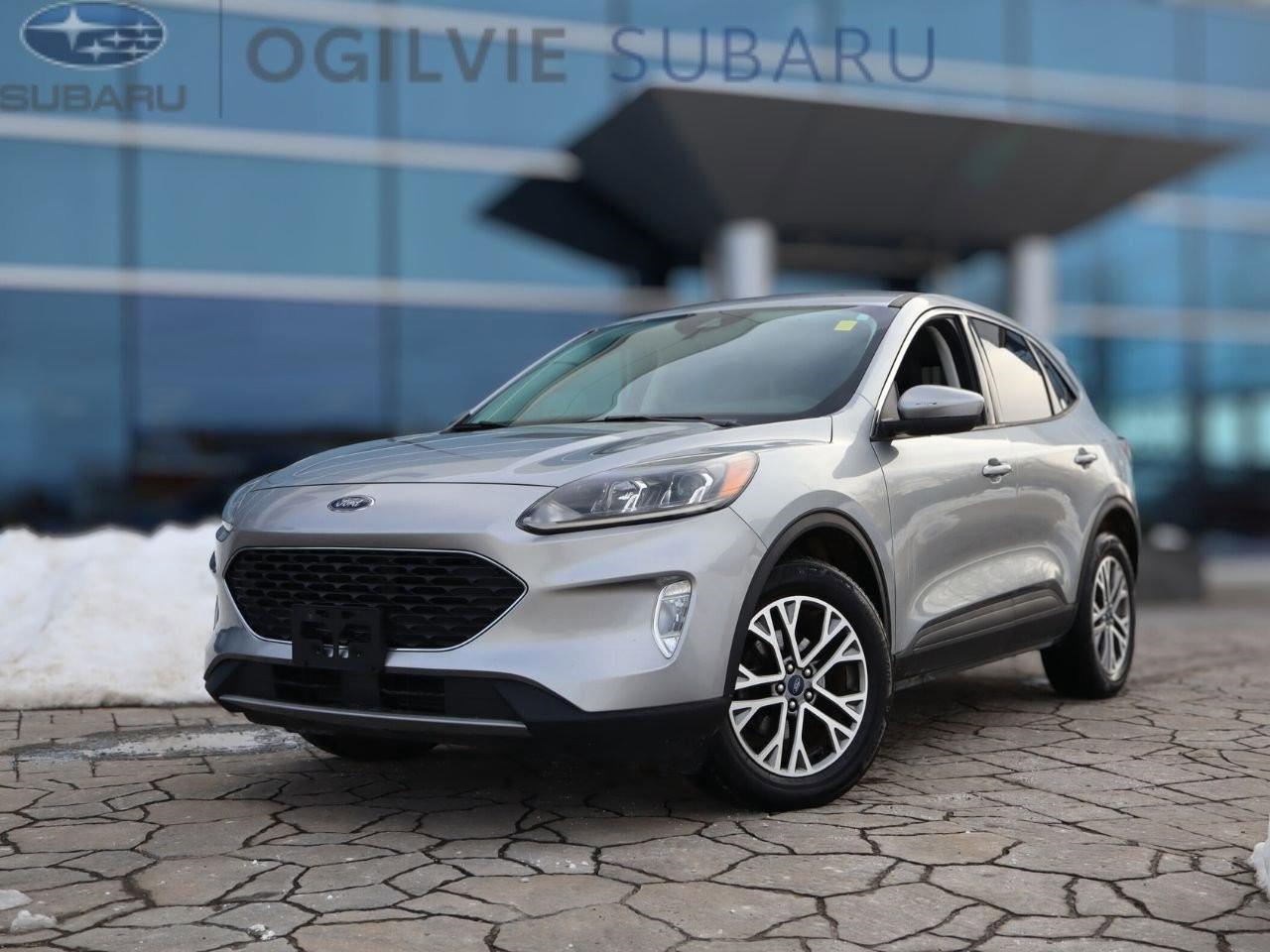 2022 Ford Escape SEL 4dr All-Wheel Drive Photo