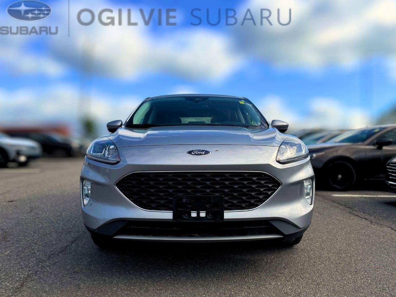 2022 Ford Escape SEL 4dr All-Wheel Drive Photo