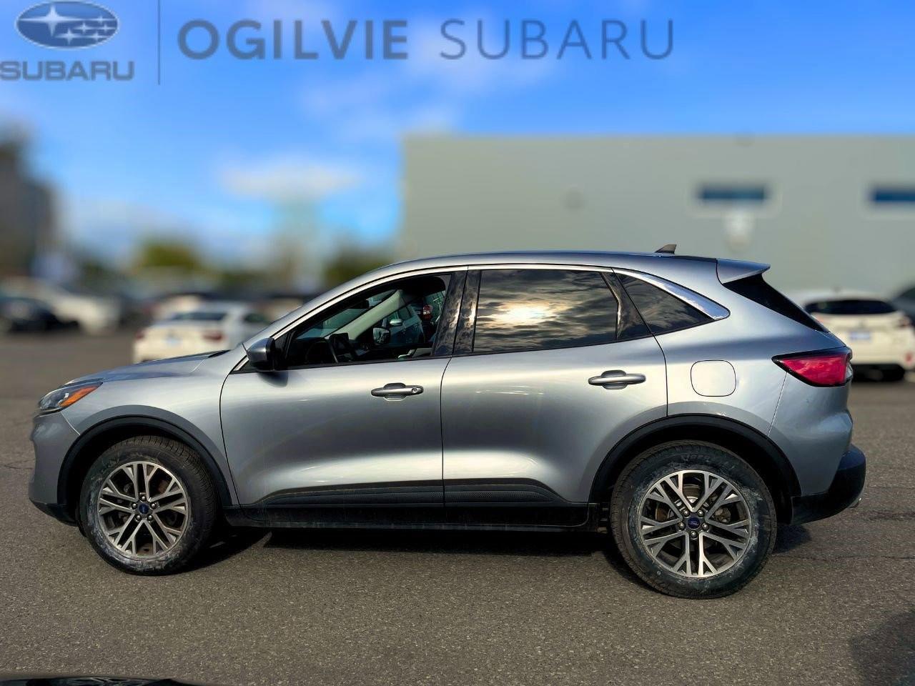 2022 Ford Escape SEL 4dr All-Wheel Drive Photo