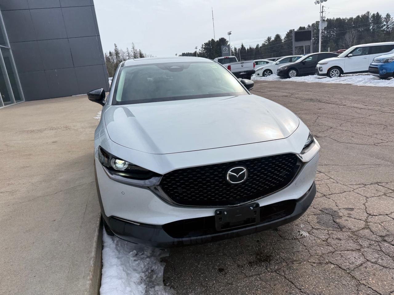 2025 Mazda CX-30 GT w/Turbo 4dr i-ACTIV All-Wheel Drive Sport Utility Photo