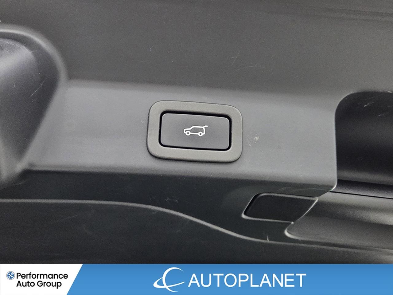 2022 Jaguar F-PACE P250 S - FINANCE @$126/WK OR LEASE @$142/WK Photo