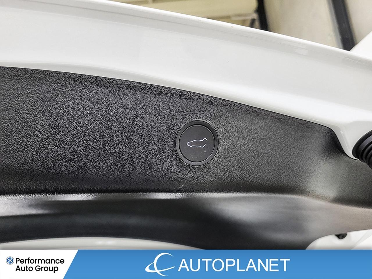 2023 Tesla Model 3 RWD, AutoPilot, Navi, 438 Km Range (est.) Photo