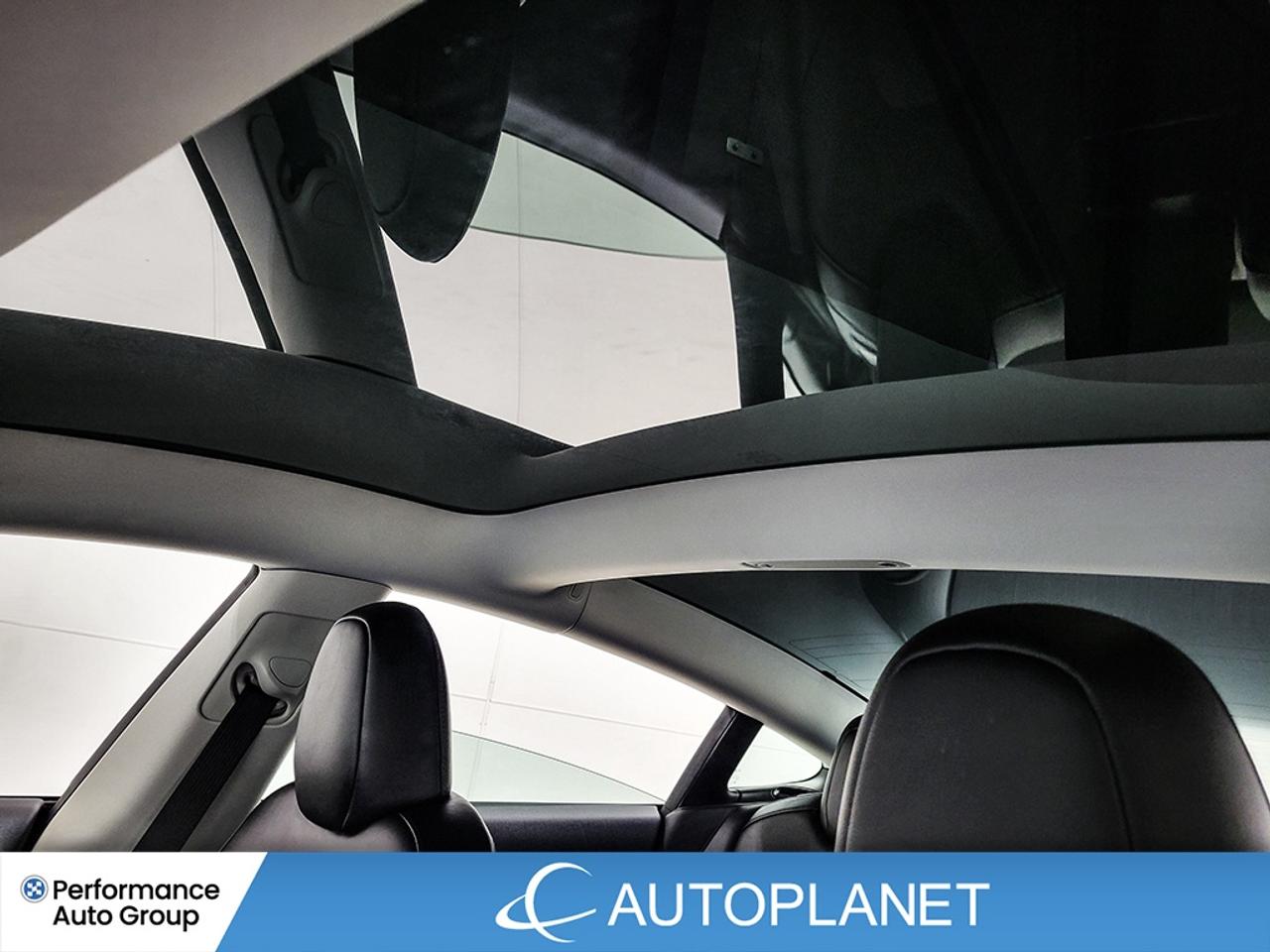 2023 Tesla Model 3 RWD, AutoPilot, Navi, 438 Km Range (est.) Photo