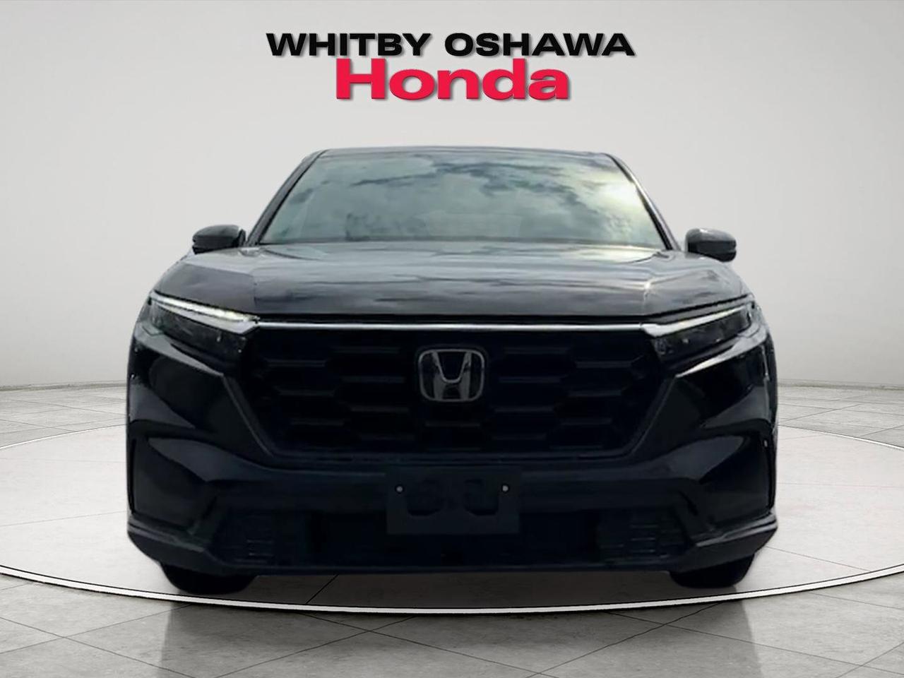 2024 Honda CR-V LX Photo