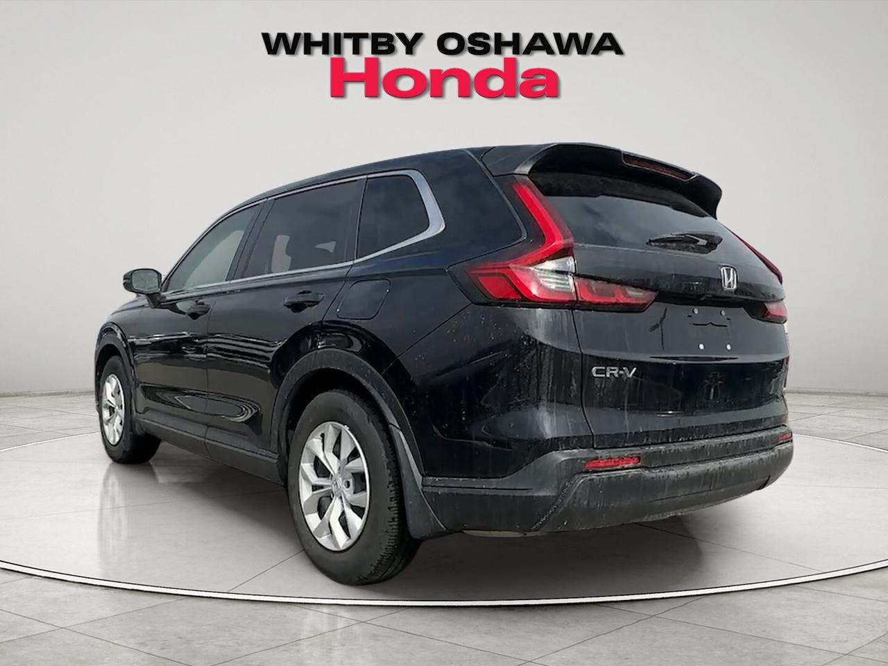 2024 Honda CR-V LX Photo