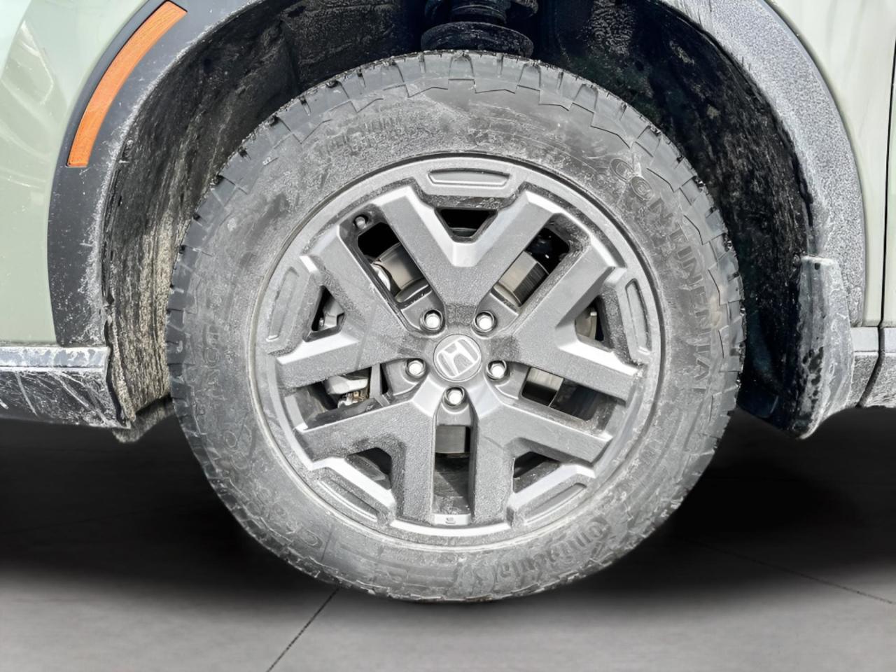 2026 Honda CR-V Hybrid TrailSport Photo