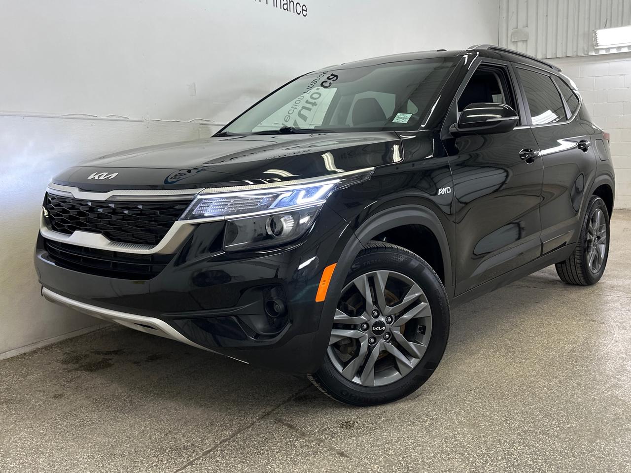 2023 Kia Seltos EX 4dr All-Wheel Drive Photo