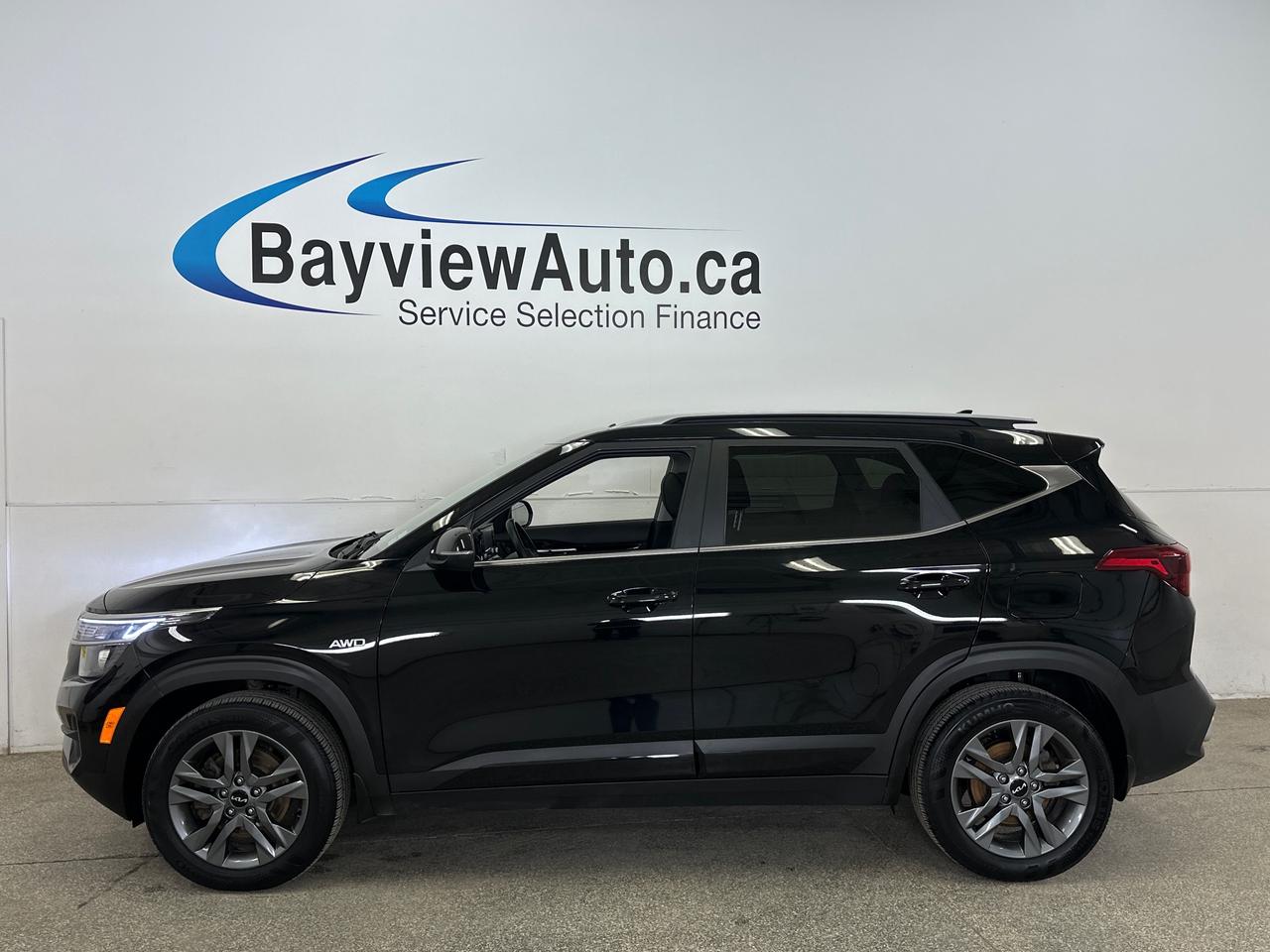 2023 Kia Seltos EX 4dr All-Wheel Drive Photo