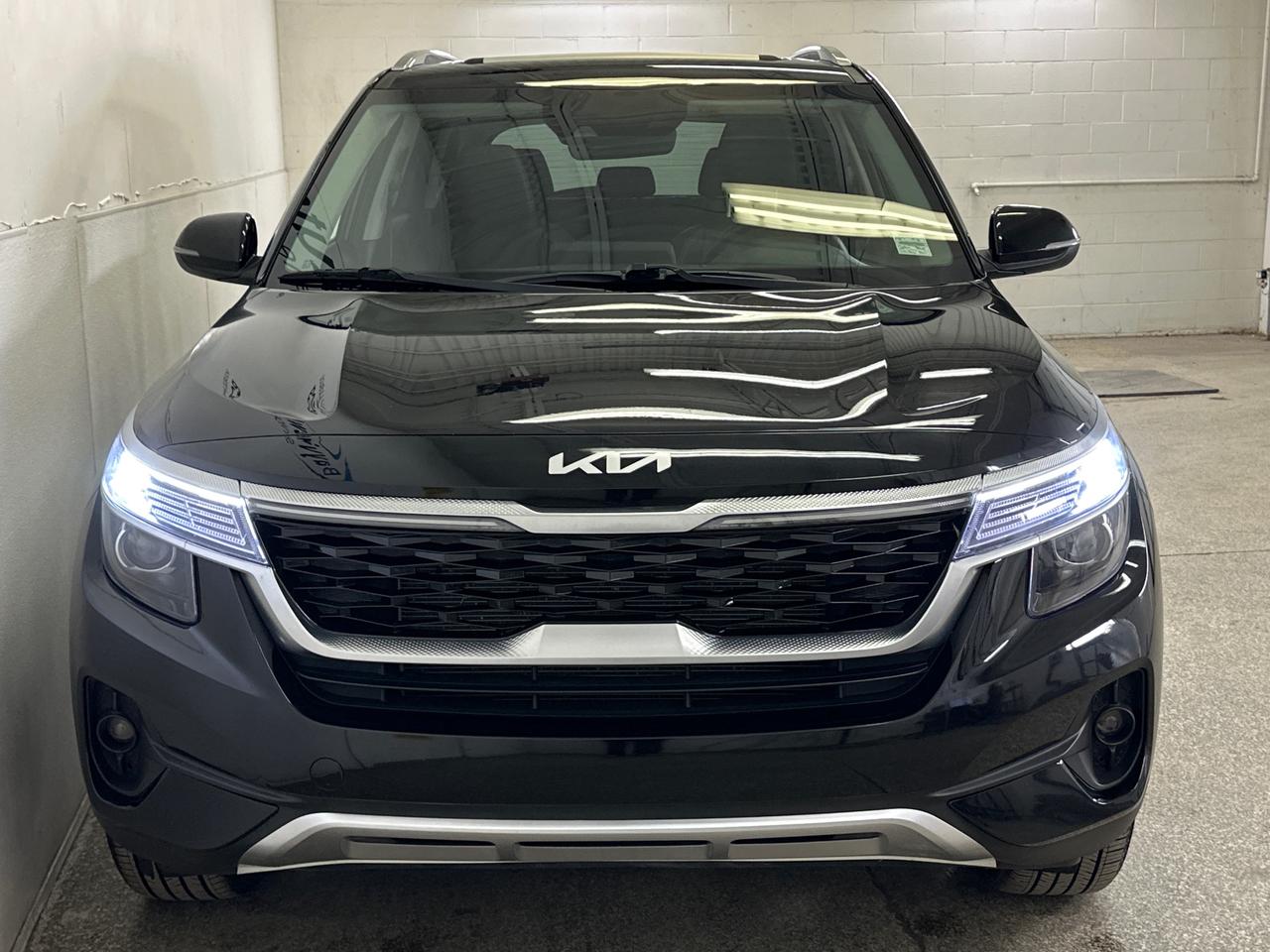 2023 Kia Seltos EX 4dr All-Wheel Drive Photo