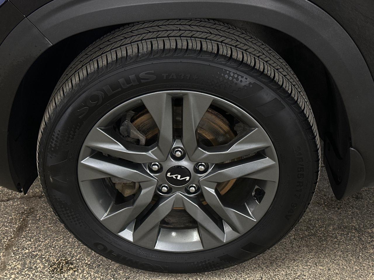 2023 Kia Seltos EX 4dr All-Wheel Drive Photo
