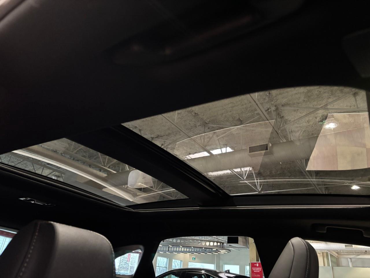 2024 Lexus RX 350  Photo