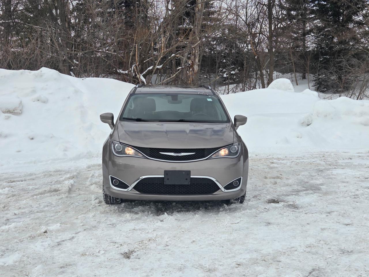 2018 Chrysler Pacifica Touring-L Plus Photo