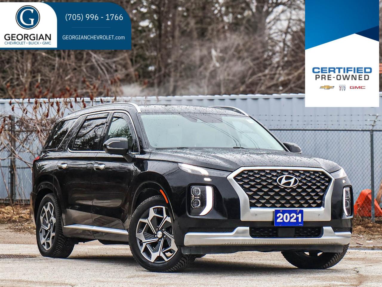 2021 Hyundai PALISADE Ultimate Calligraphy Photo