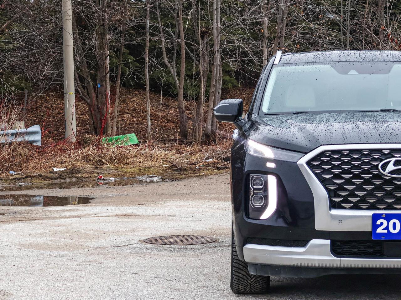 2021 Hyundai PALISADE Ultimate Calligraphy Photo