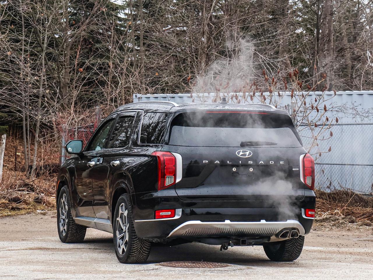 2021 Hyundai PALISADE Ultimate Calligraphy Photo