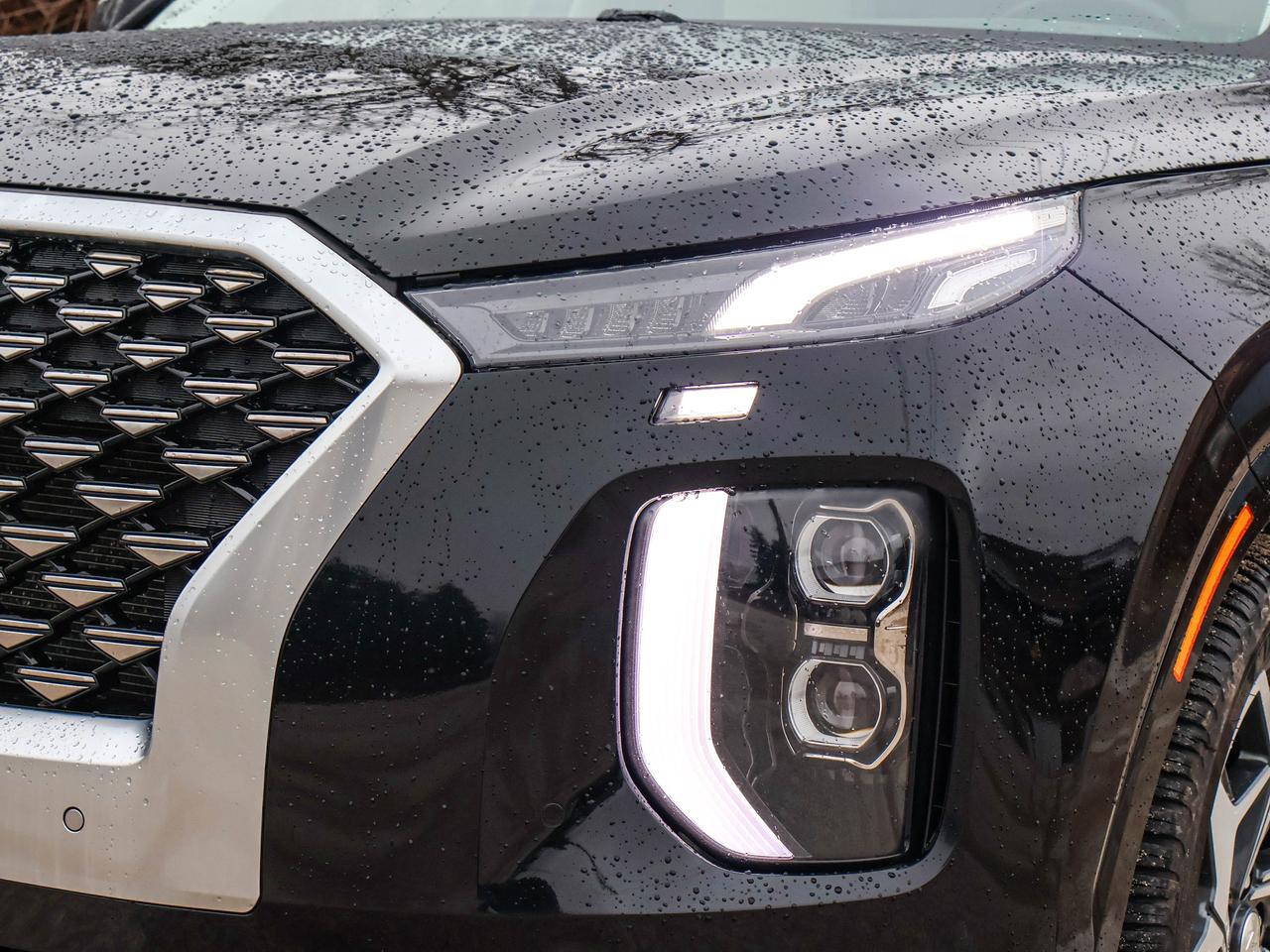 2021 Hyundai PALISADE Ultimate Calligraphy Photo