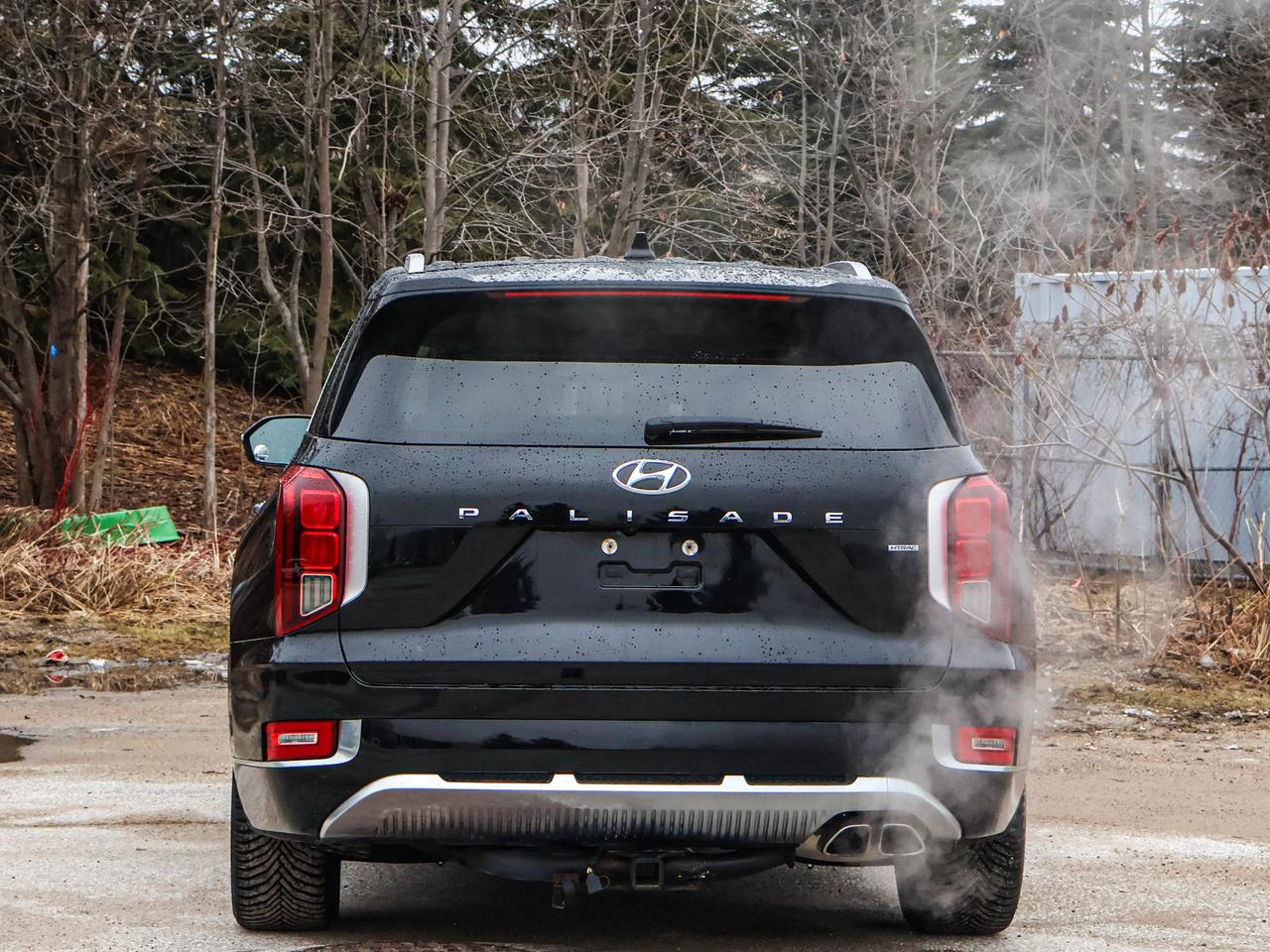 2021 Hyundai PALISADE Ultimate Calligraphy Photo