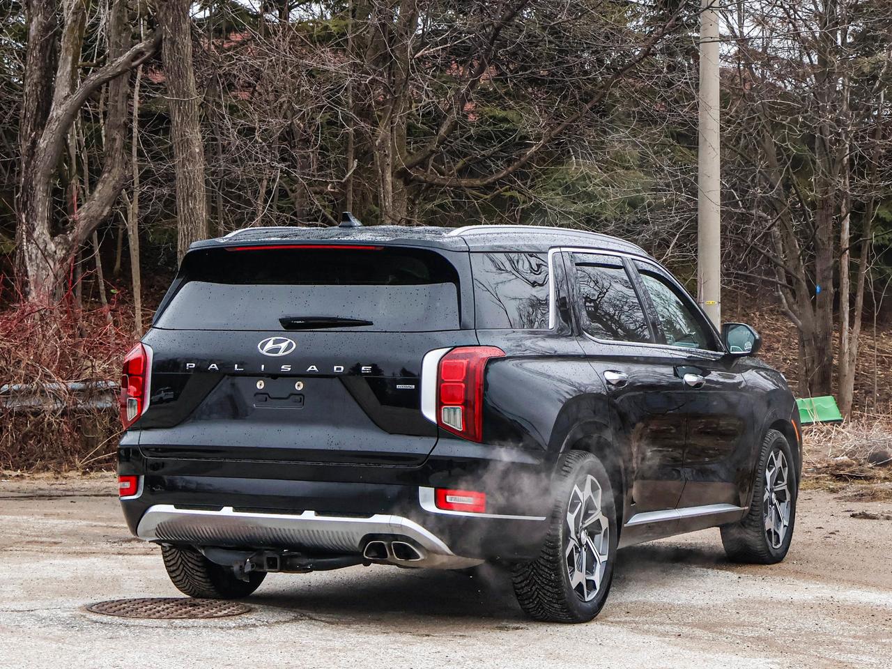 2021 Hyundai PALISADE Ultimate Calligraphy Photo