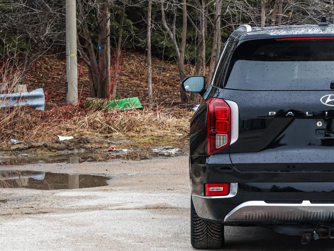 2021 Hyundai PALISADE Ultimate Calligraphy Photo