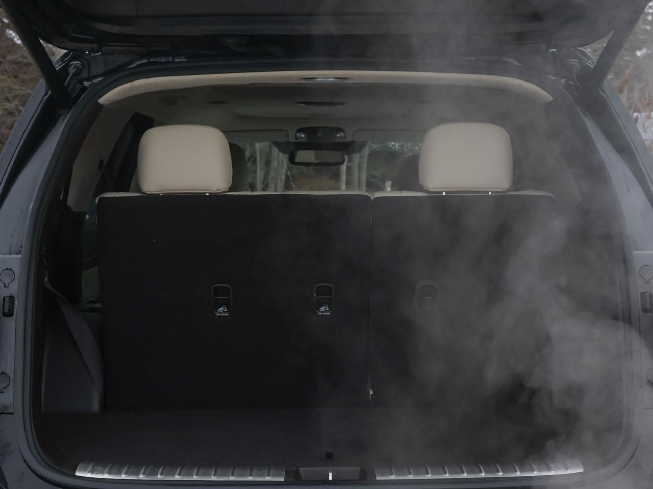 2021 Hyundai PALISADE Ultimate Calligraphy Photo