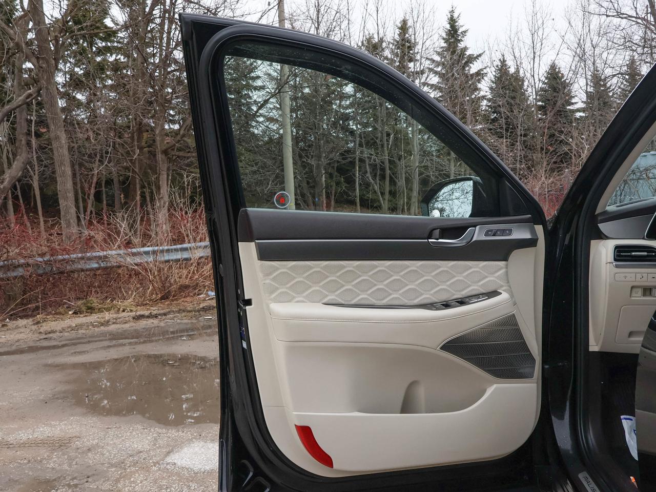 2021 Hyundai PALISADE Ultimate Calligraphy Photo