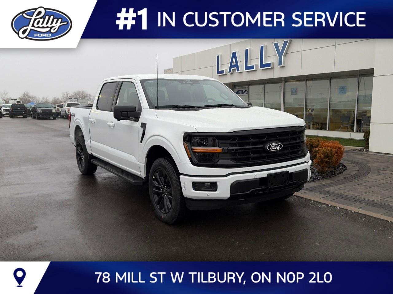 2026 Ford F-150 XLT 4WD SuperCrew 5.5' Box Photo0