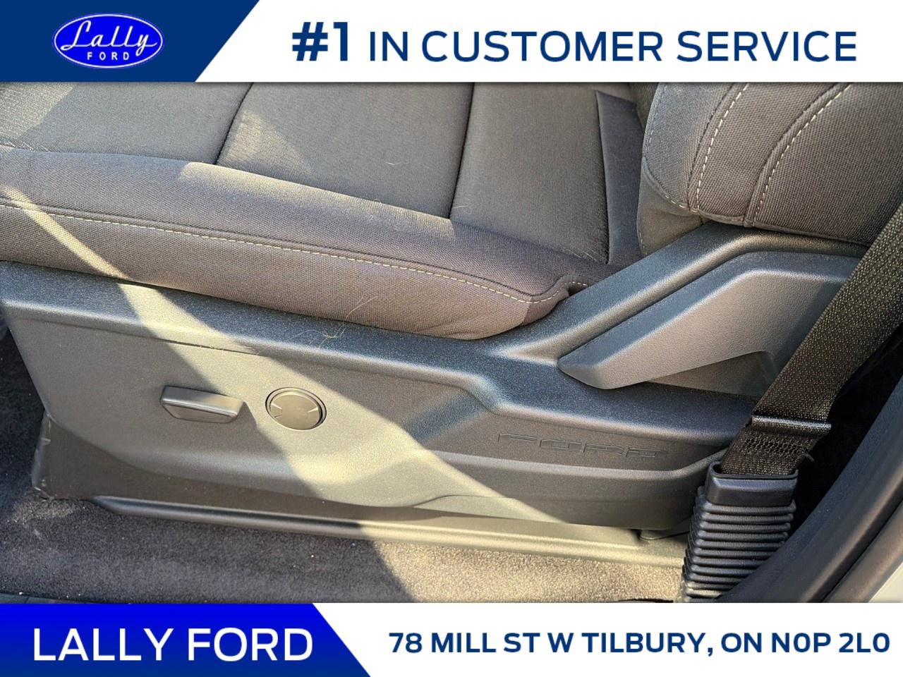 2026 Ford F-150 XLT 4WD SuperCrew 5.5' Box Photo